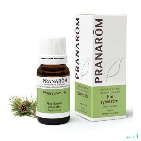 Pin Sylvestre Huile Essentielle 10 ml  -  Pranarom