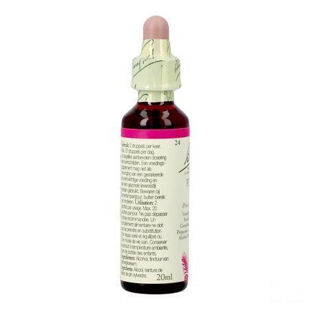 Bach Flower Remedie 29 Star Bethlehem 20 ml