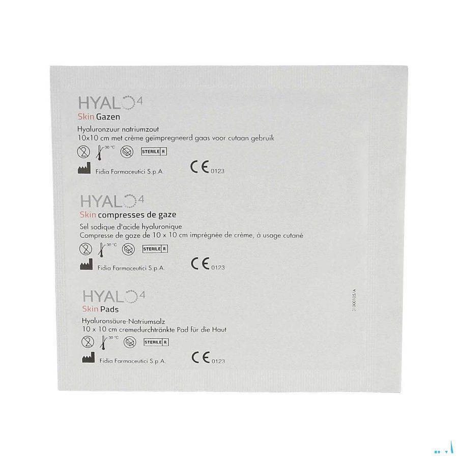 Hyalo 4 Skin Gaze 10X10Cm 10  -  Kela Pharma