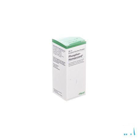 Phosphor Homaccord Gutt 30 ml  -  Heel