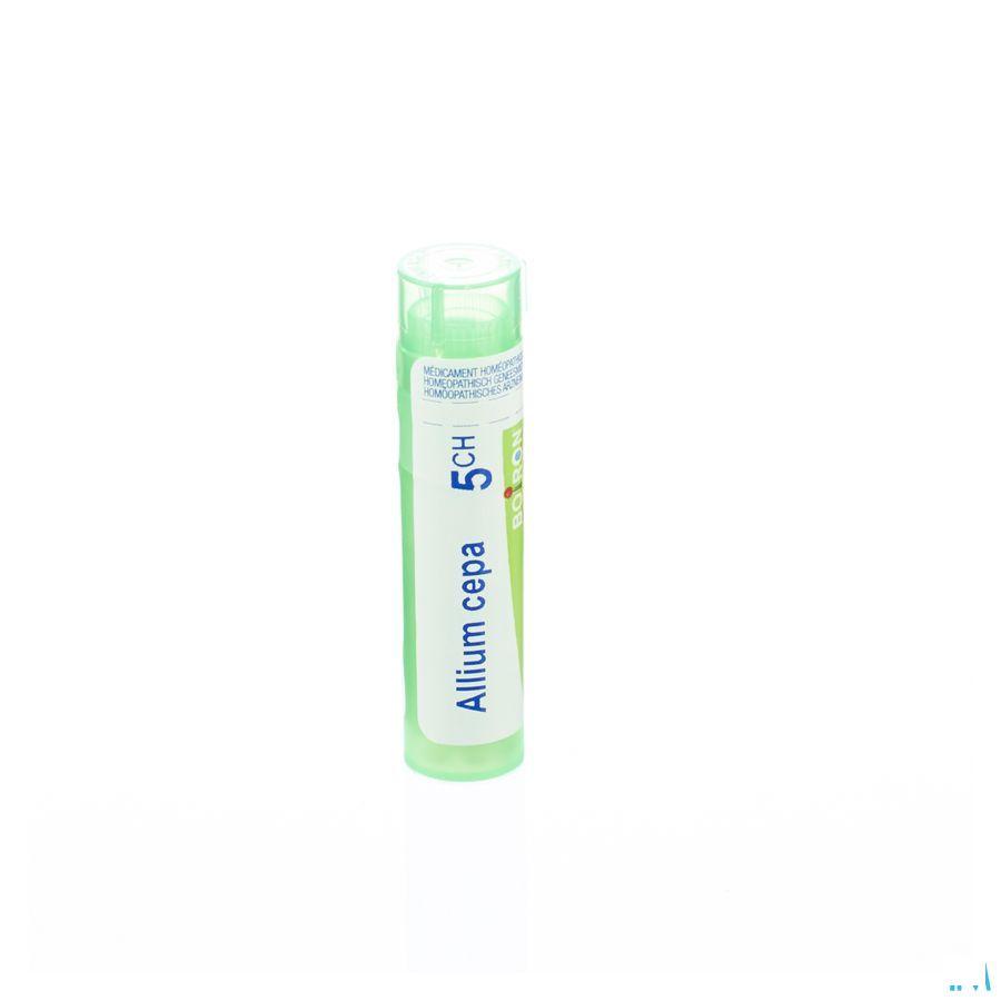 Allium Cepa 5CH Gr 4g  -  Boiron