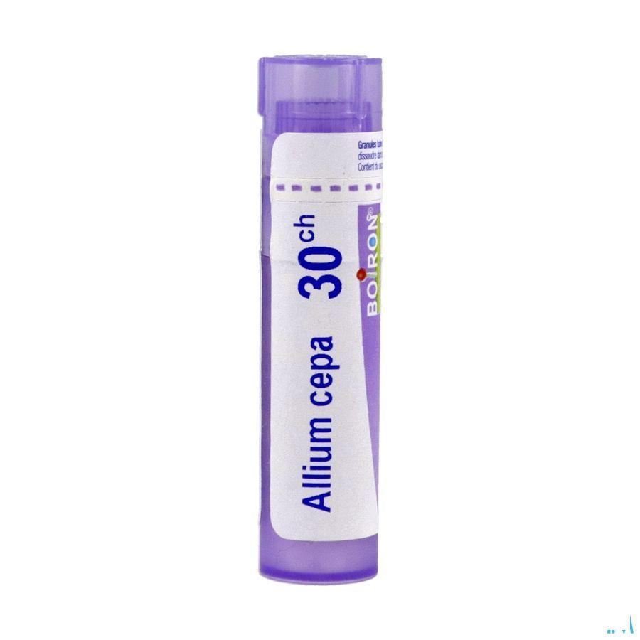 Allium Cepa 30CH Gr 4g  -  Boiron