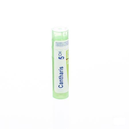Cantharis 5CH Gr 4g  -  Boiron