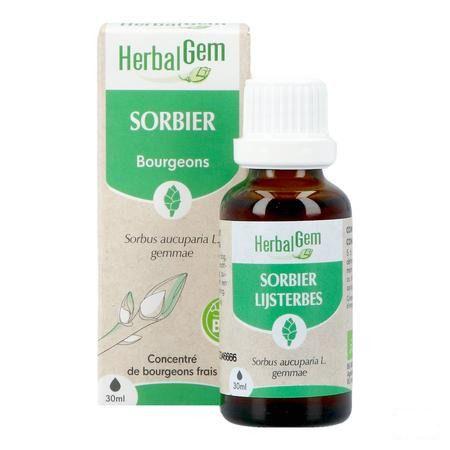 Herbalgem Lijsterbes Bio 30 ml