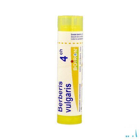 Berberis Vulgaris 4ch Gr 4g  -  Boiron