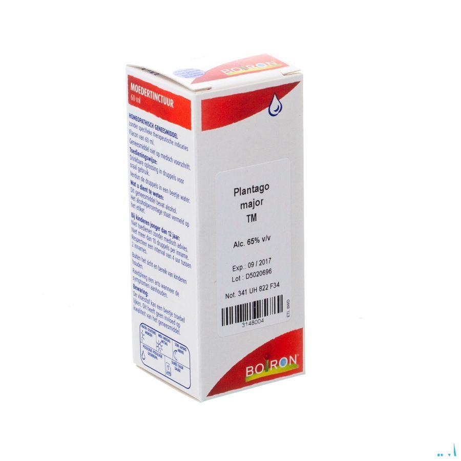 Plantago Major Tm 60 ml  -  Boiron