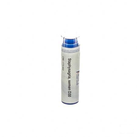 Staphysagria Semen D30 Gr 4g  -  Weleda