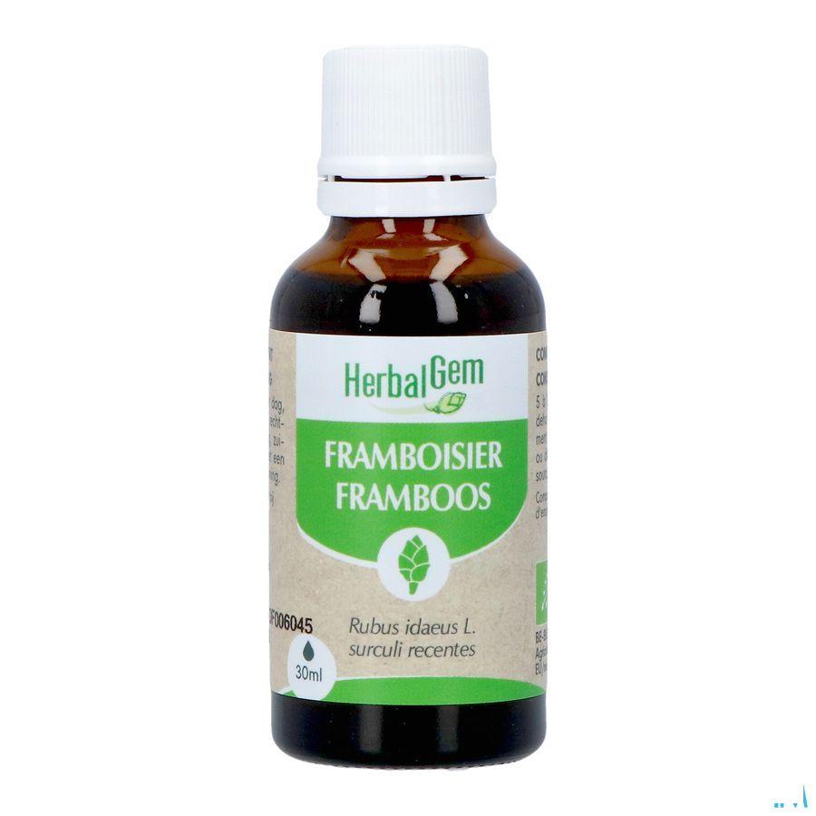 Herbalgem Frambois Bio 30 ml
