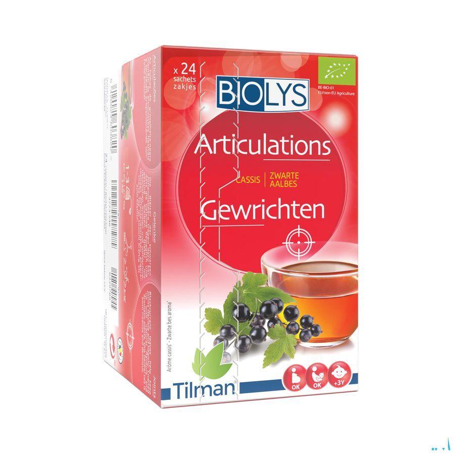 Biolys Cassis Sachets 24  -  Tilman