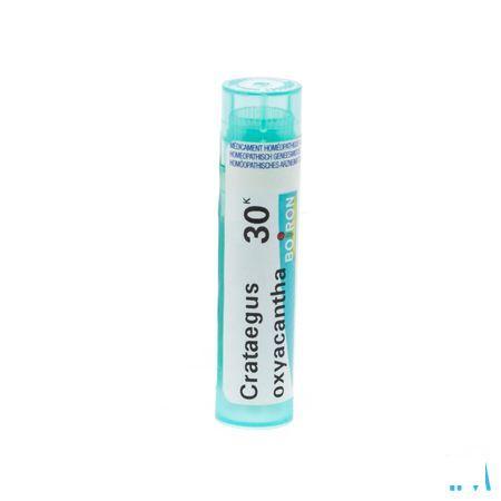 Crataegus Oxyacantha 30K Gr 4g  -  Boiron