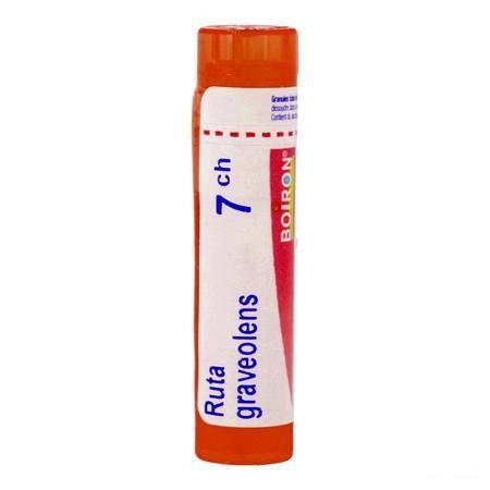 Ruta Graveolens 7CH Gr 4g  -  Boiron