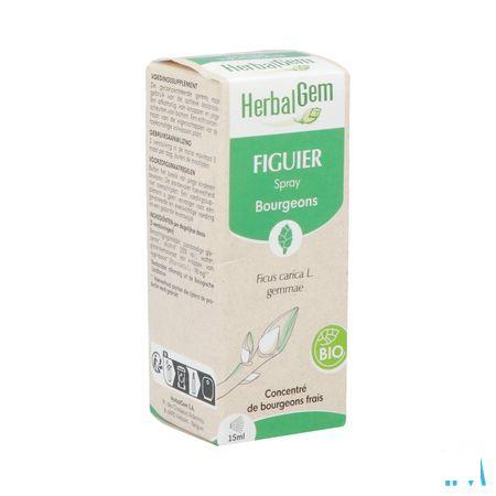 Herbalgem Figuier Bio Spray 15 ml