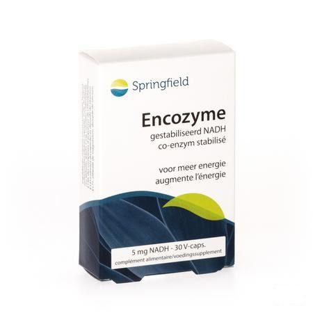 Encozyme Nadh 5 mg Gestabilis. Springfield Capsule 30  -  Springfield Nutraceuticals