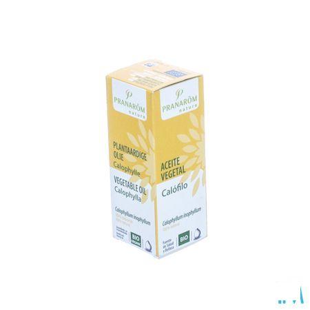 Calophyllus Bio Plantaardige Olie 50 ml  -  Pranarom