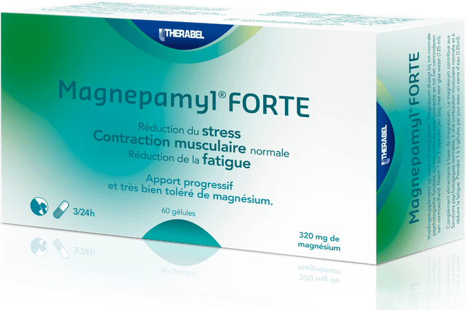 Magnepamyl Forte Capsule 60