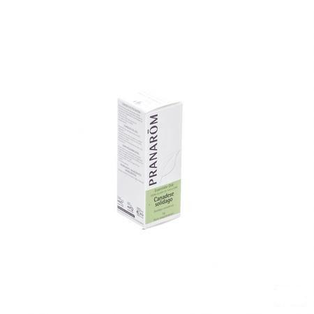 Solidage Du Canada Huile Essentielle 5 ml  -  Pranarom