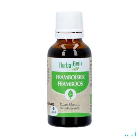 Herbalgem Frambois Bio 30 ml