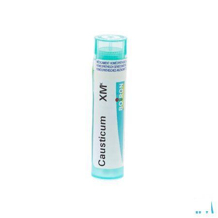 Causticum XMK Gr 4g  -  Boiron