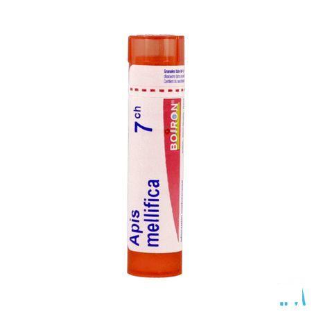 Apis Mellifica 7CH Gr 4g  -  Boiron