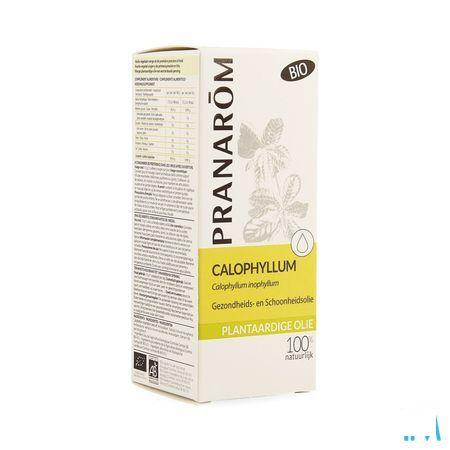 Calophyllus Bio Plantaardige Olie 50 ml  -  Pranarom