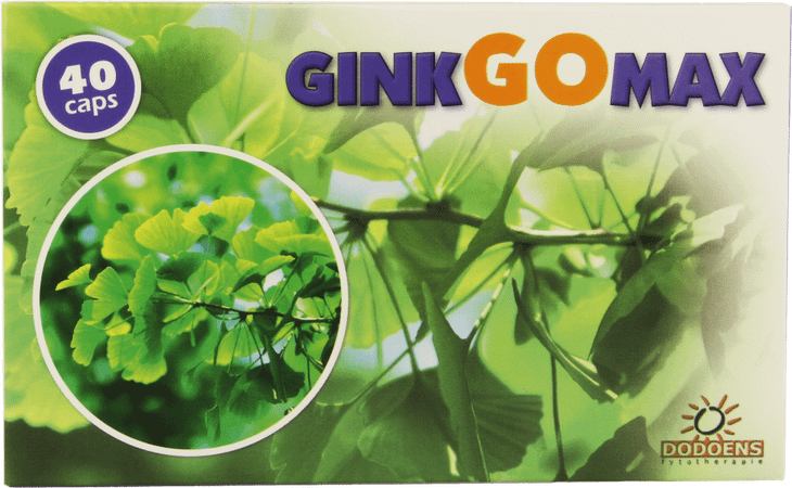 Ginkgomax Capsule 40