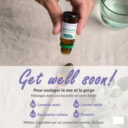 Phytosun Spijklavendel Fr-bio-01 Be2 5 ml