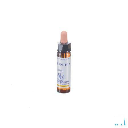 Healing Herbs Scleranthus 10 ml