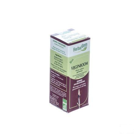 Herbalgem Vijgenboom Maceraat 15 ml  -  Herbalgem