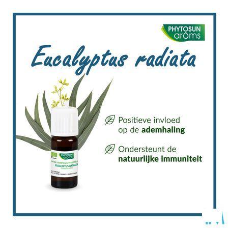 Phytosun Euc. Radiata Fr-bio-01 10 ml