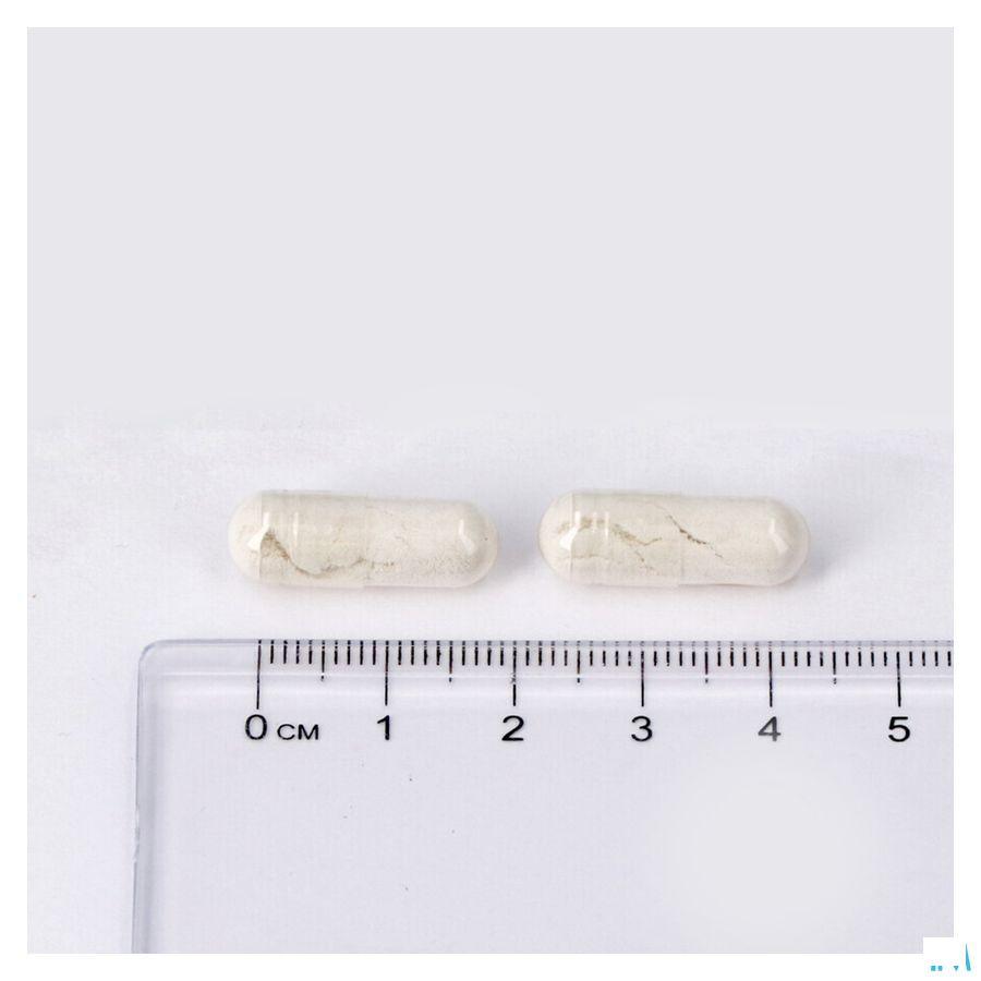 Leppin Catalase Capsule 60x250 mg  -  Lepivits