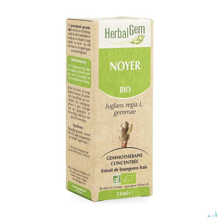Herbalgem Noyer Macerat 15 ml  -  Herbalgem