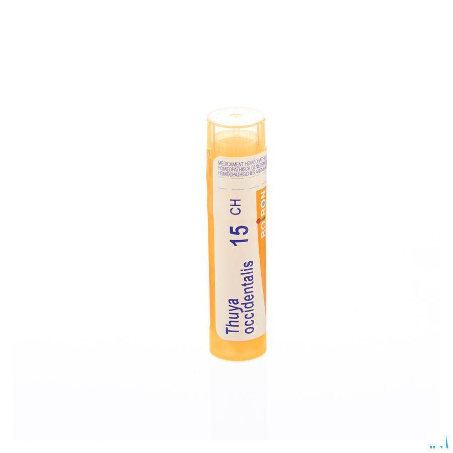 Thuya Occidentalis 15CH Gr 4g  -  Boiron