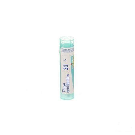 Thuya Occidentalis 30K Gr 4g  -  Boiron