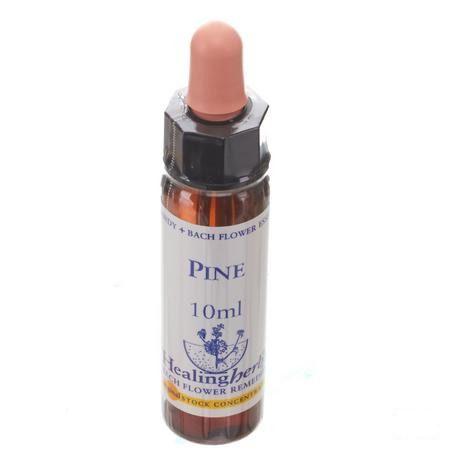 Healing Herbs Pine 10 ml