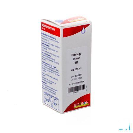 Plantago Major Tm 60 ml  -  Boiron