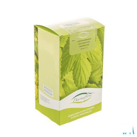Toortsbloem Doos 100 gr  -  Fagron