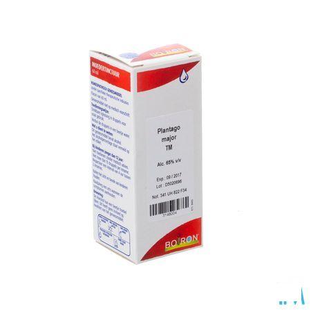 Plantago Major Tm 60 ml  -  Boiron