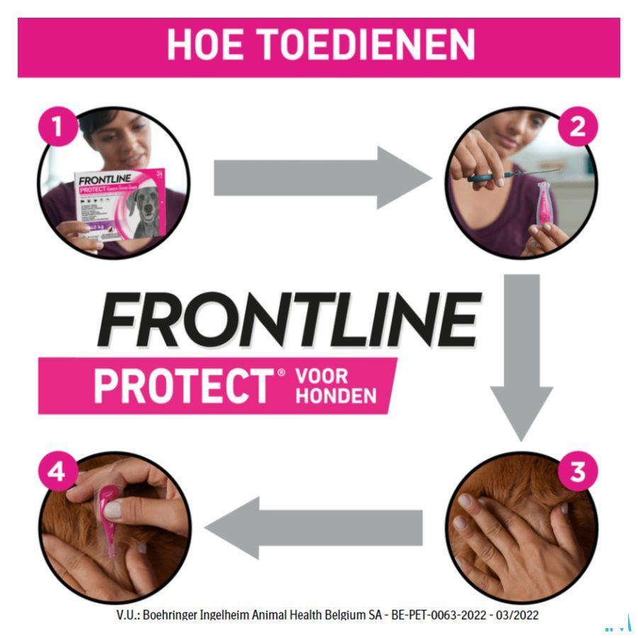 Frontline Protect Spot On Opl Hond 20-40Kg Pipet 3