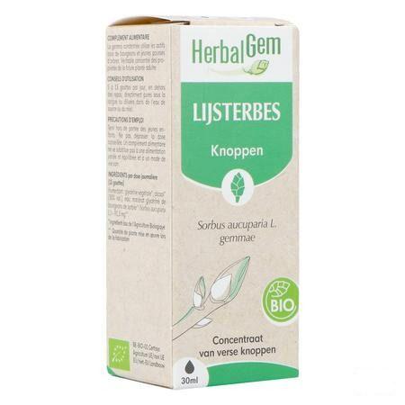 Herbalgem Lijsterbes Bio 30 ml
