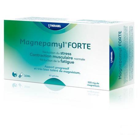 Magnepamyl Forte Capsule 60