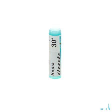 Sepia Officinalis 30K Gl  -  Boiron