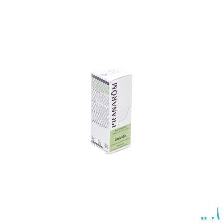 Lavandin Reydovan Essentiele Olie 10 ml  -  Pranarom