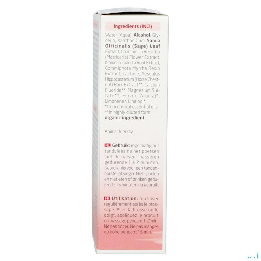 Weleda Tandvleesbalsem Tube 30 ml 0636670  -  Weleda