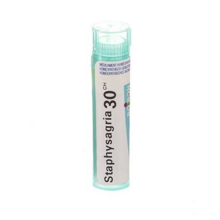 Staphysagria 30CH Gr 4g  -  Boiron