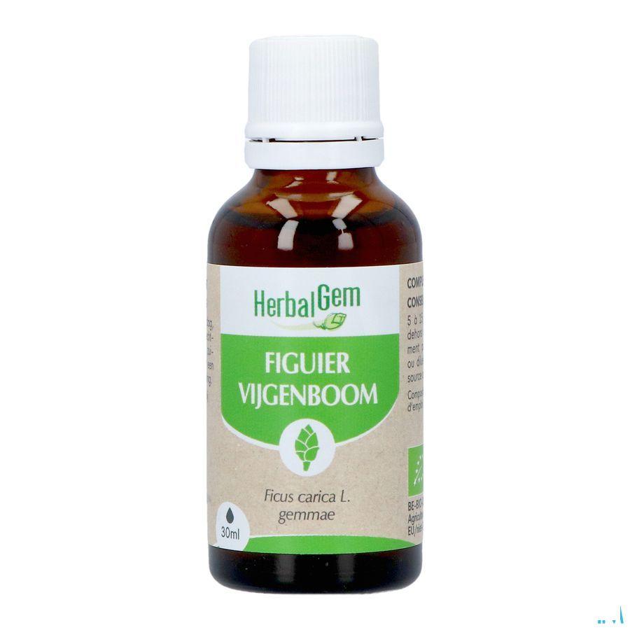 Herbalgem Vijgenboom Bio 30 ml