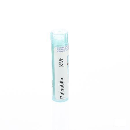 Pulsatilla XMK Gr 4g  -  Boiron