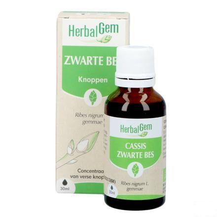 Herbalgem Zwarte Bes Maceraat 30 ml  -  Herbalgem