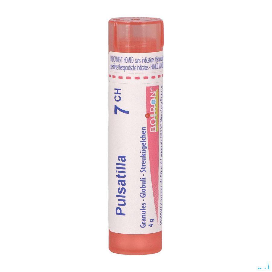 Pulsatilla 7CH Gr 4g  -  Boiron