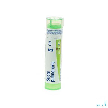 Sticta Pulmonaria 5CH Gr 4g  -  Boiron