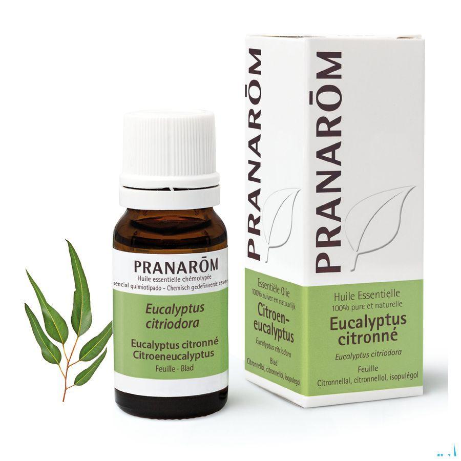 Eucalyptus Citronne Huile Essentielle 10 ml  -  Pranarom
